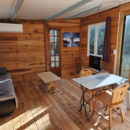 Chalet Banane Devant Piscine, A 6Km Du Festival De Piano De La Roque D'Antheron Rognes Zewnętrze zdjęcie